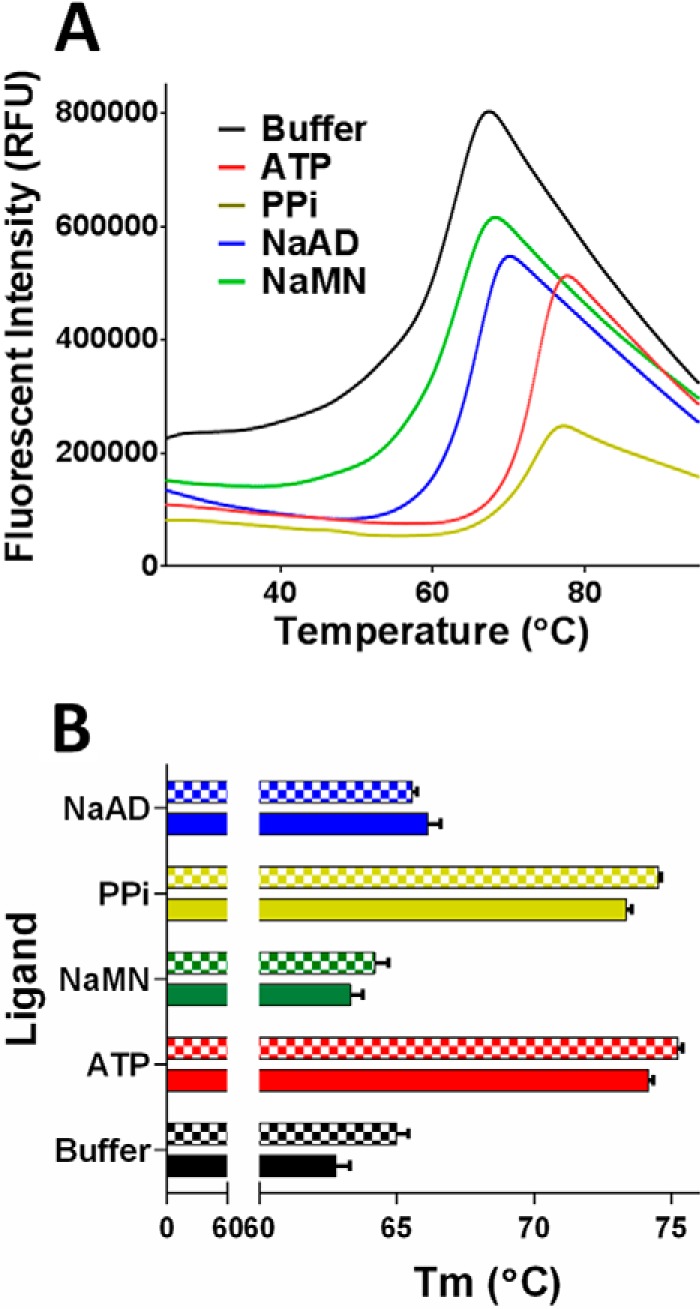 FIGURE 7.