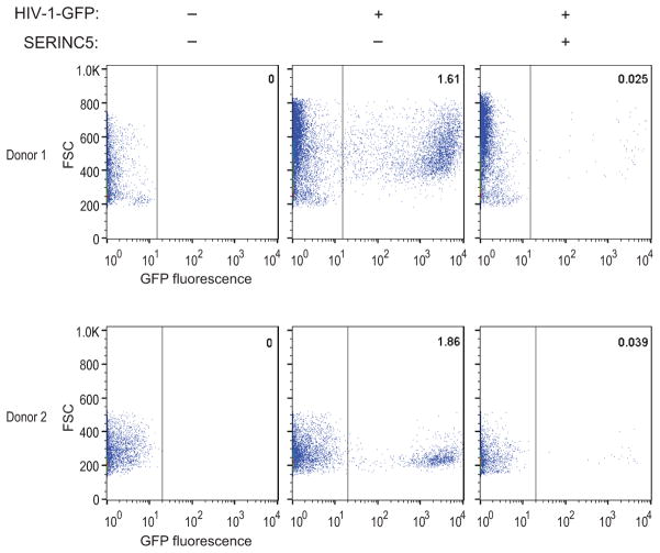 Extended Data Figure 6