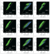 Extended Data Figure 5