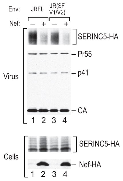 Extended Data Figure 7