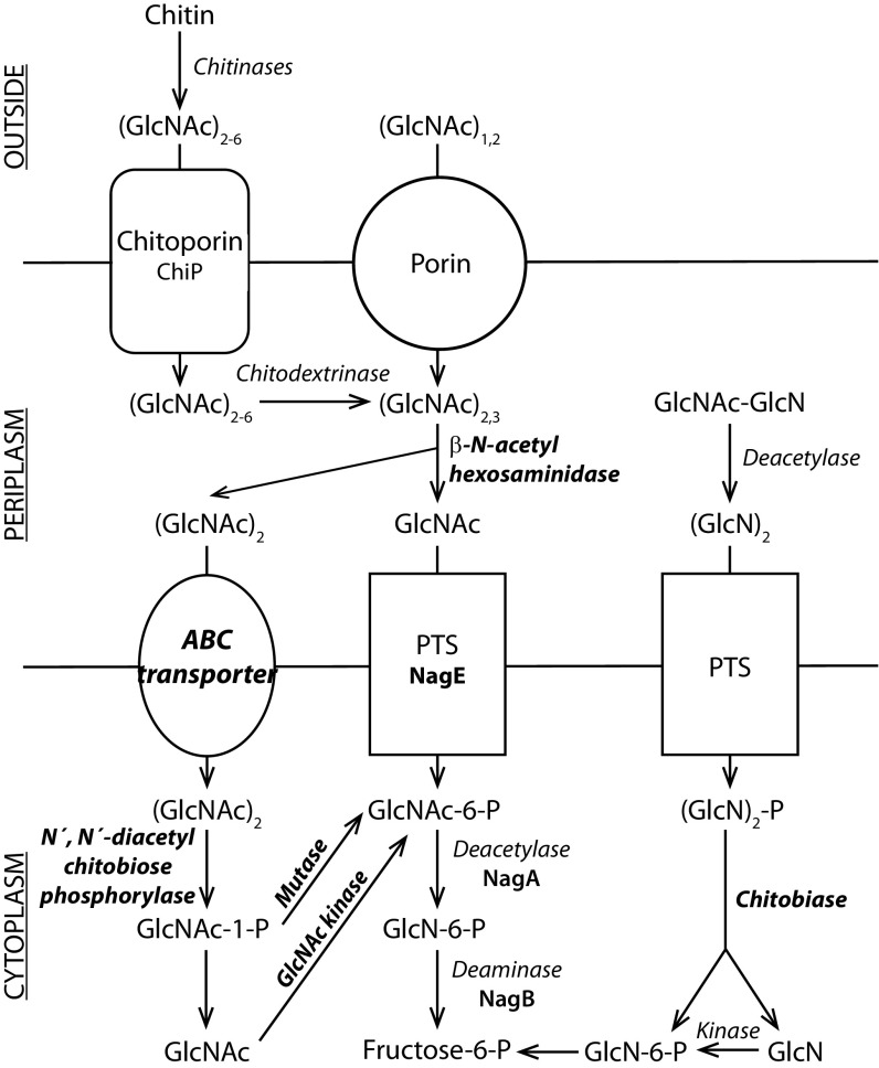 FIG 1 