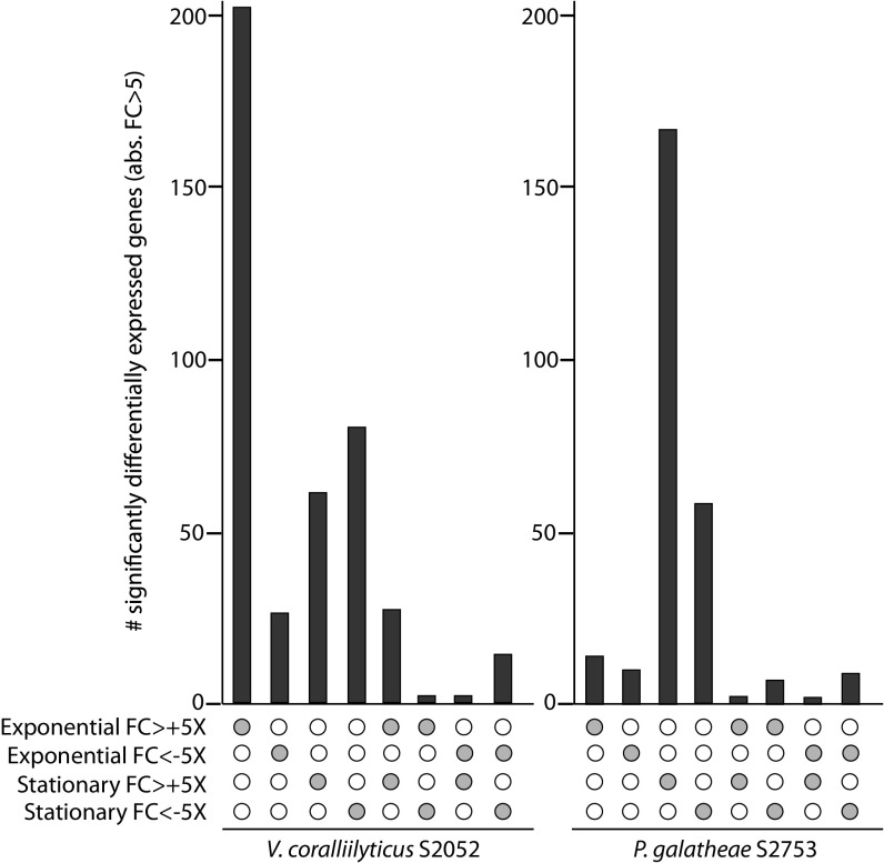 FIG 3 