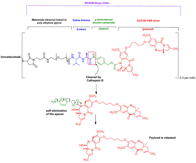 Figure 13