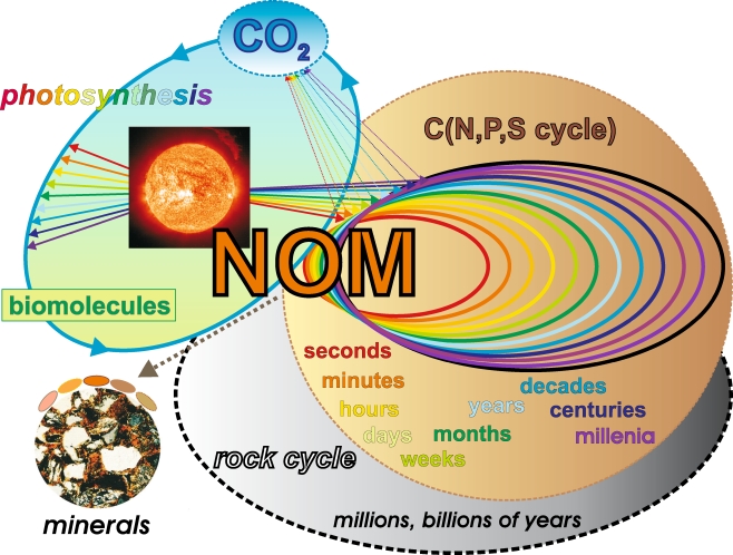 Fig. 2