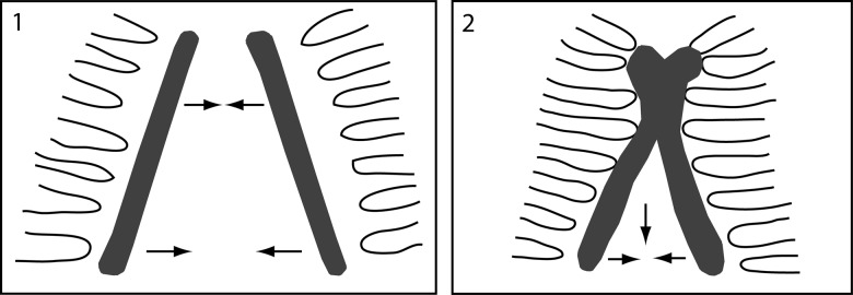 Figure 2: