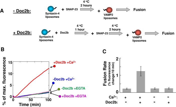 FIGURE 5: