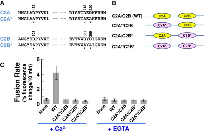 FIGURE 6: