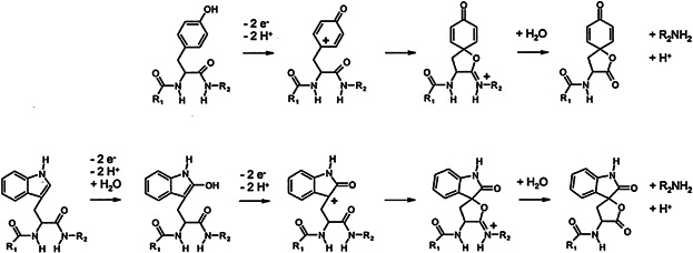 Figure 17