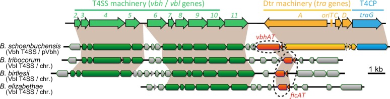 Fig 2