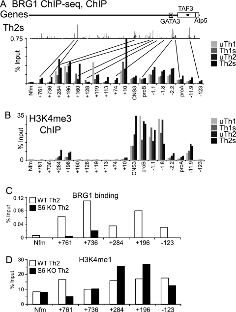 Fig. 11.