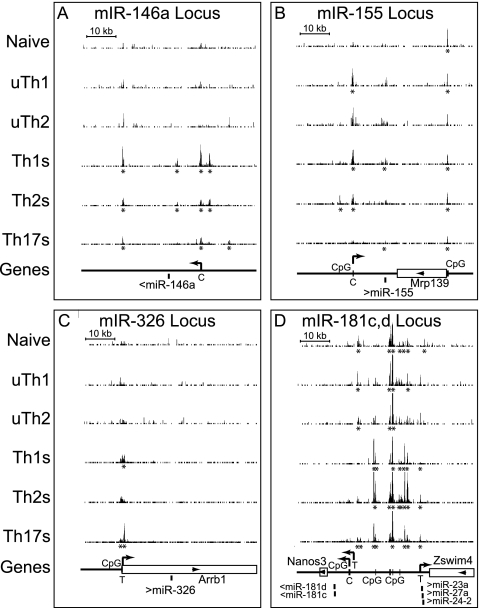 Fig. 9.