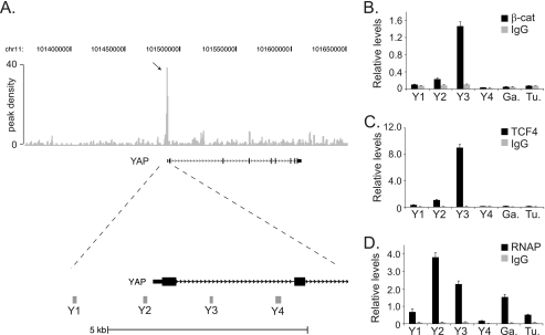 FIGURE 1.