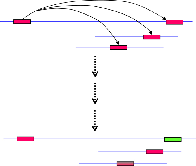 Fig. 1