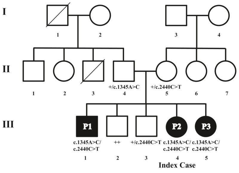 Fig. 1