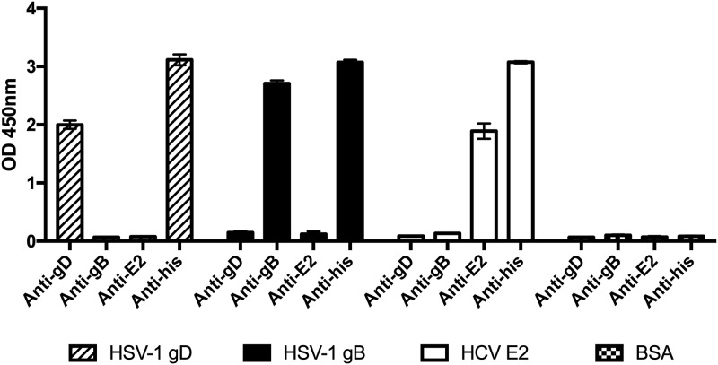 FIG 2