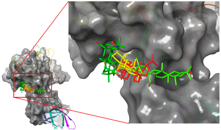 Figure 4