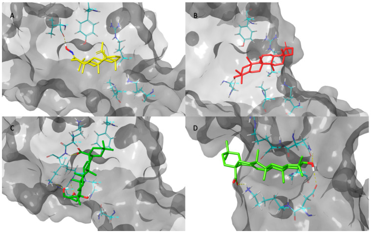 Figure 5