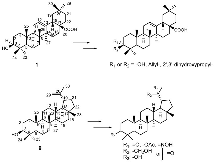 Scheme 1