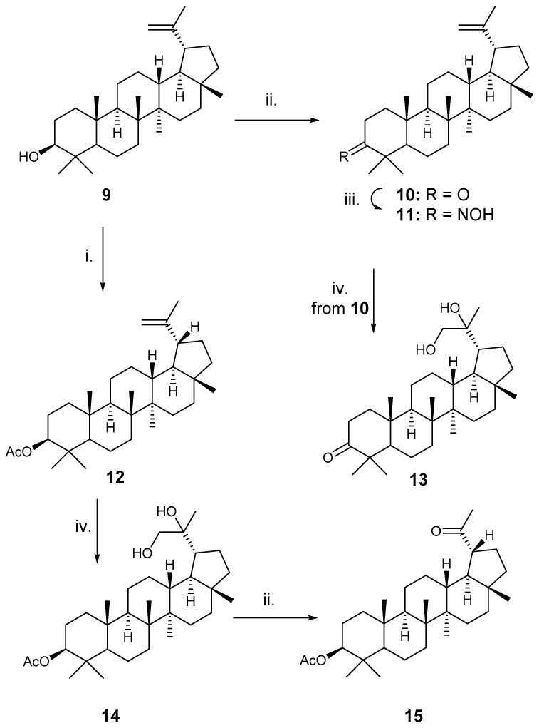 Scheme 3