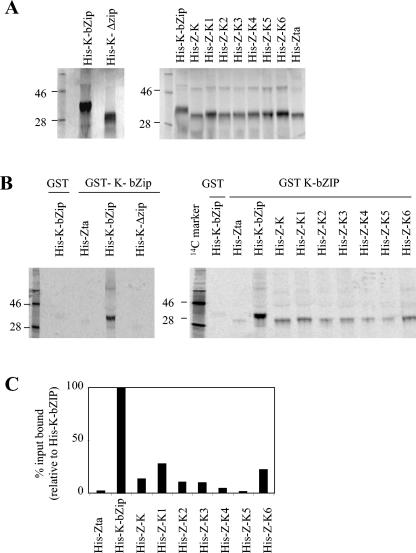 FIG. 3.