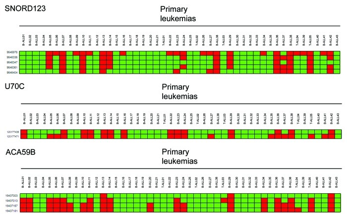 graphic file with name rna-9-881-g8.jpg