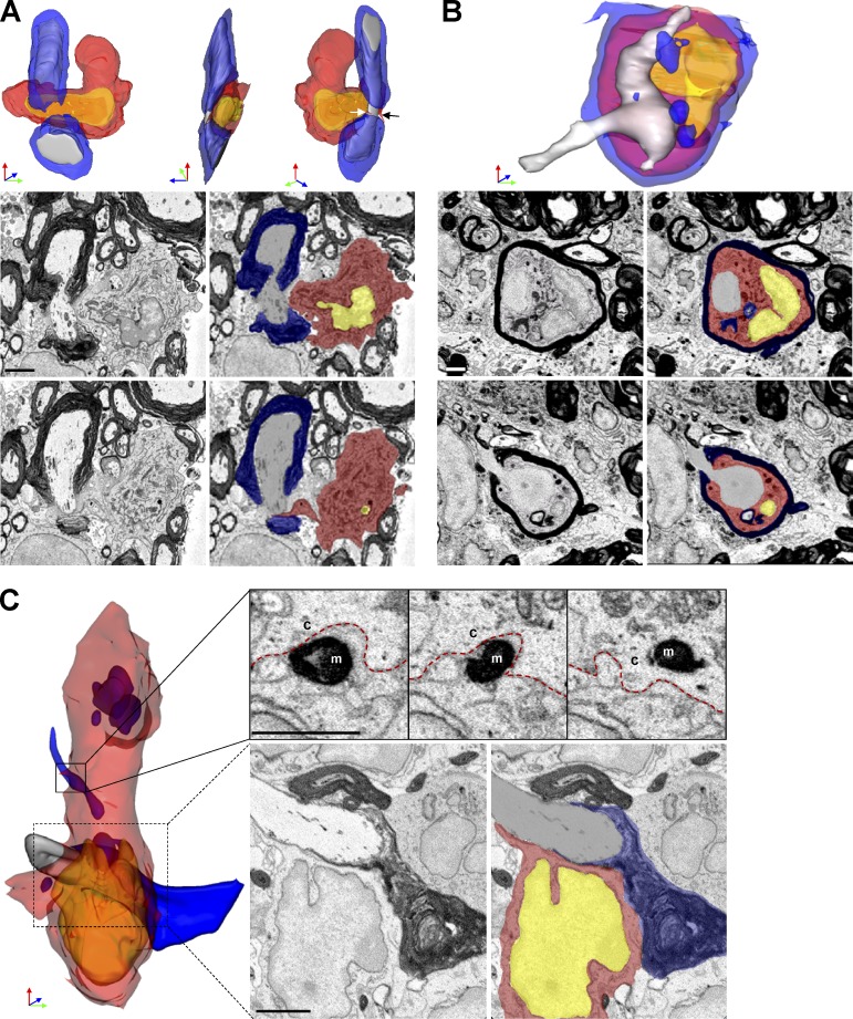 Figure 4.