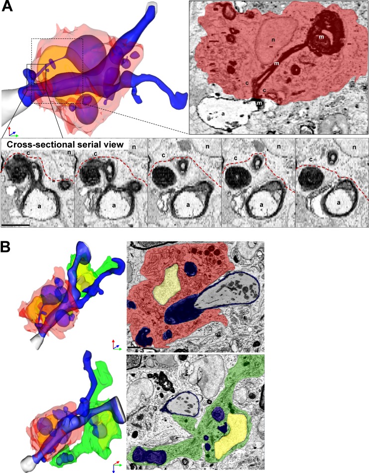 Figure 3.