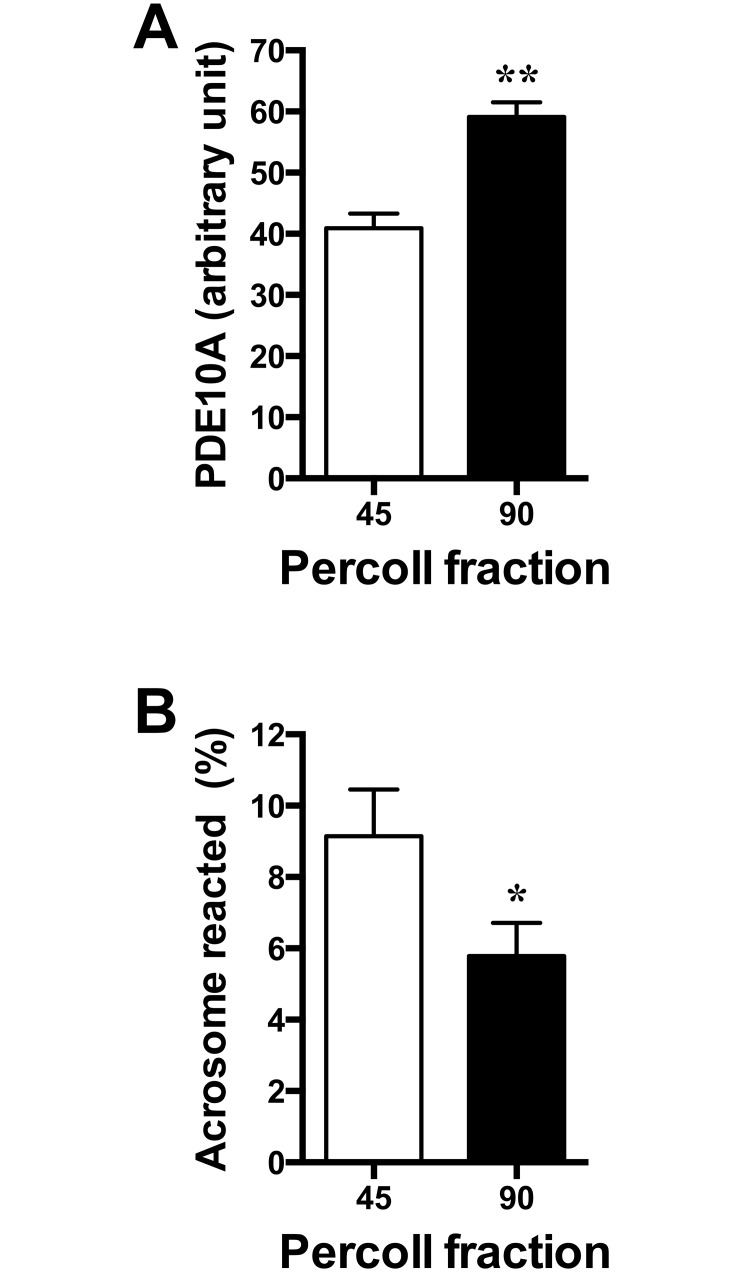 Fig 7