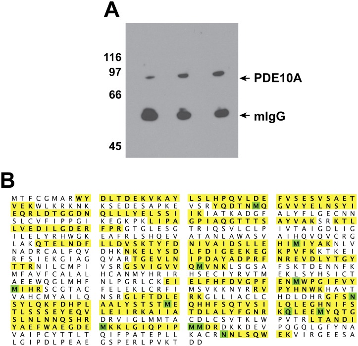 Fig 9