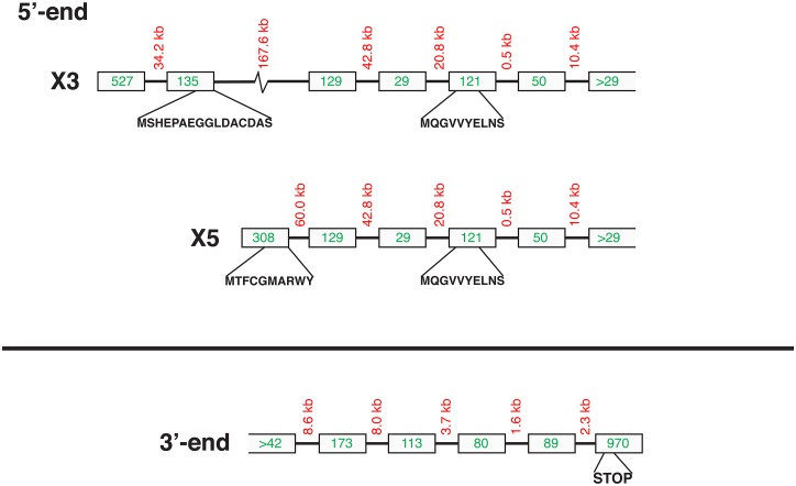 Fig 10