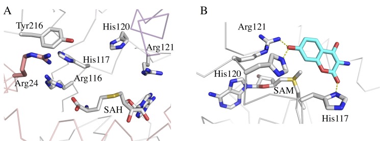 Fig 3