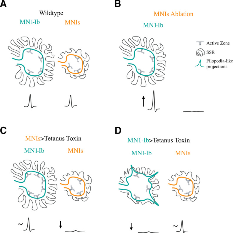 Figure 14.