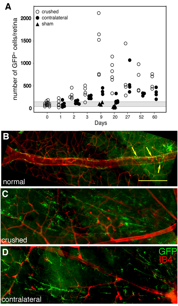 Fig. 4