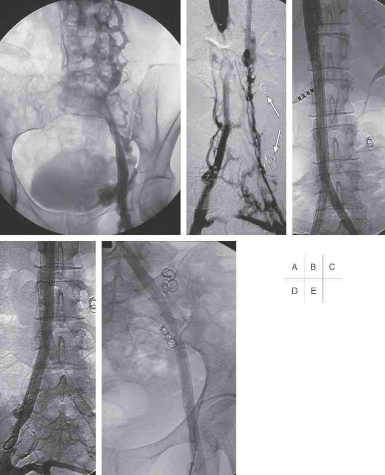 Fig. 9