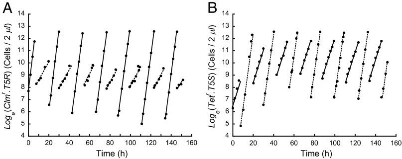 Fig. 2.