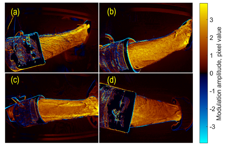 Fig. 5