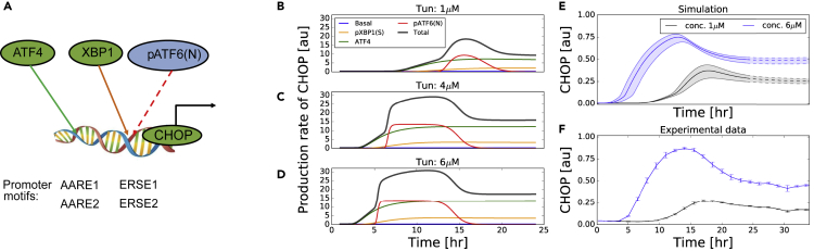 Figure 4