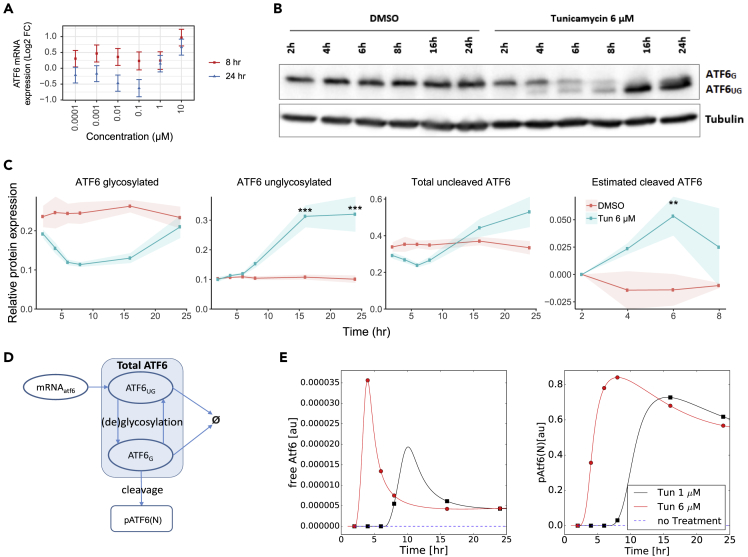 Figure 6