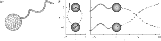 Figure 7.