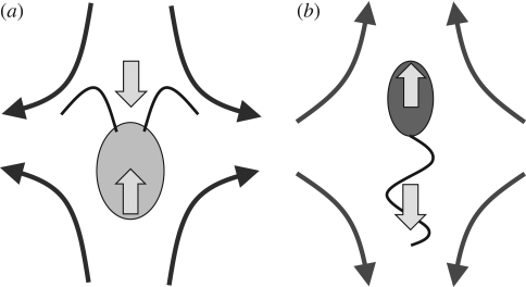 Figure 4.