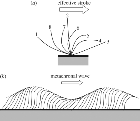 Figure 1.