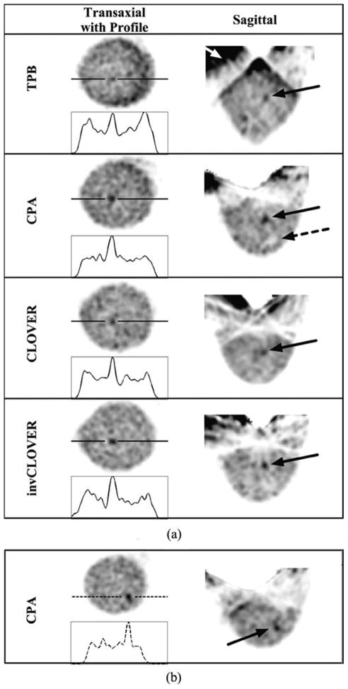 Fig. 10