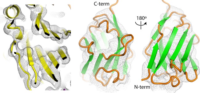 FIG 2