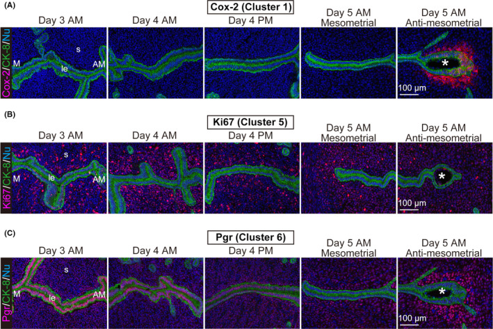 FIGURE 3