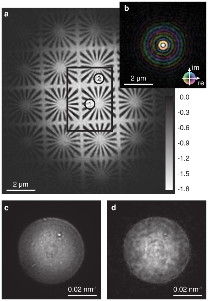 Figure 2