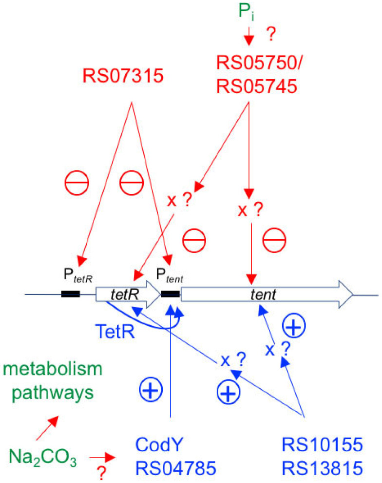 Figure 9