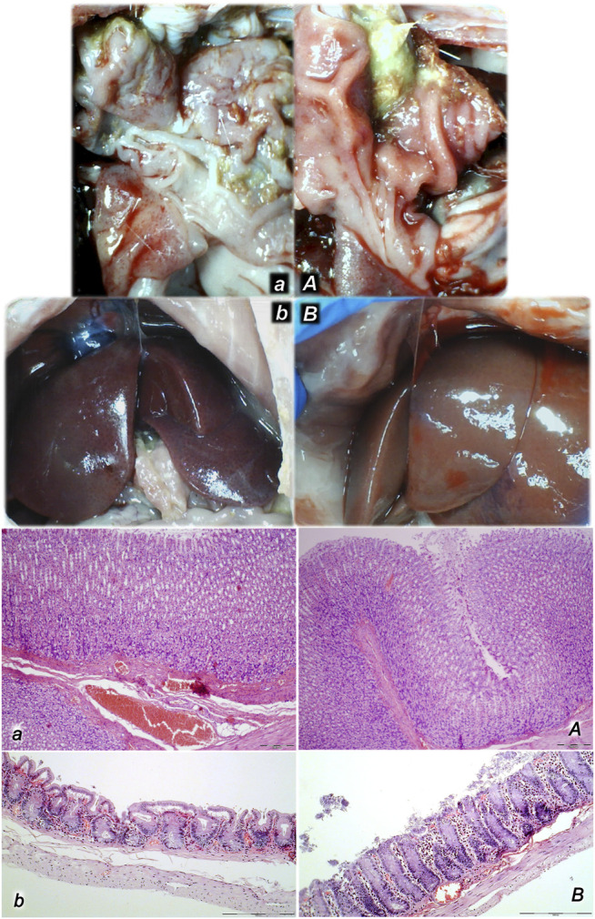 FIGURE 9