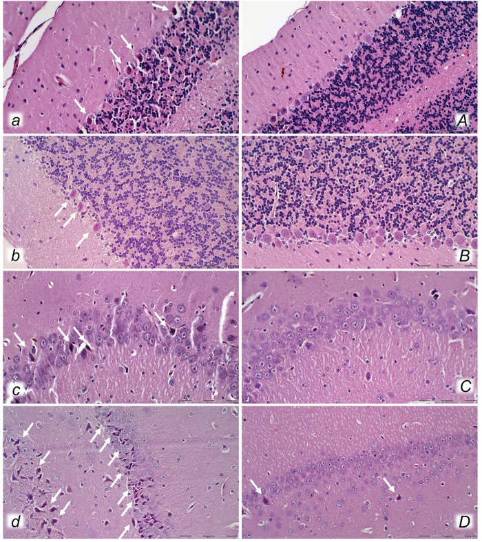 FIGURE 15