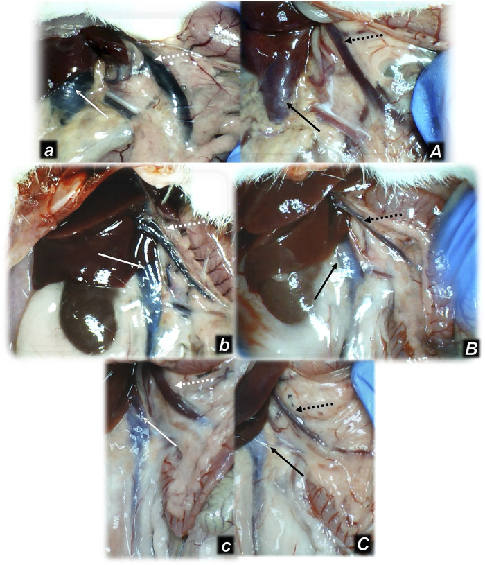 FIGURE 3