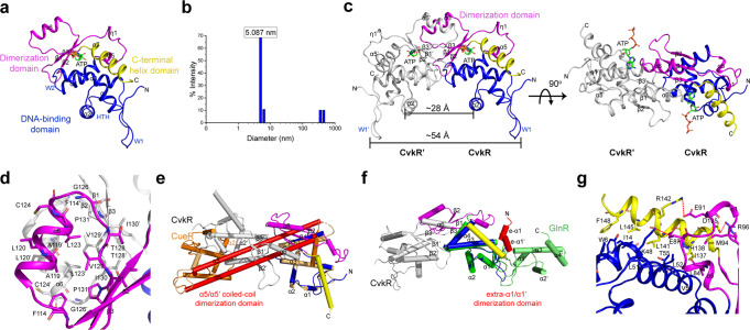 Fig. 7